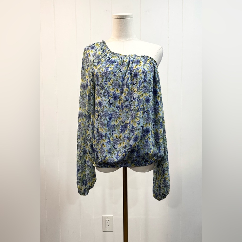 Ramy Brook Margie Off-The-Shoulder Asymmetrical Top in Daisies Floral Blue XS